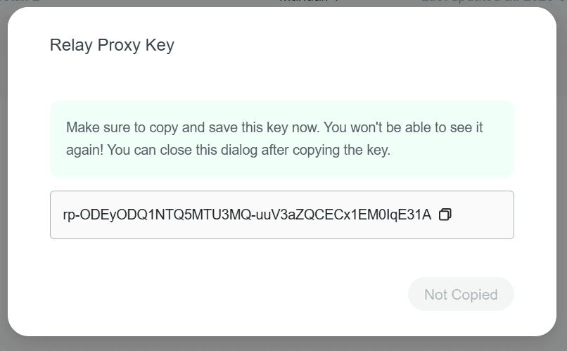 Copy API Key